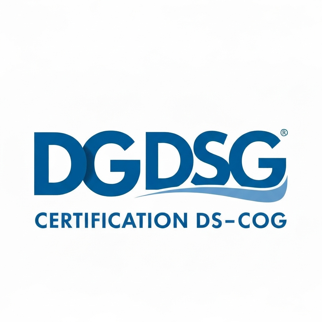 Préparation à la DCG et DSCG logo